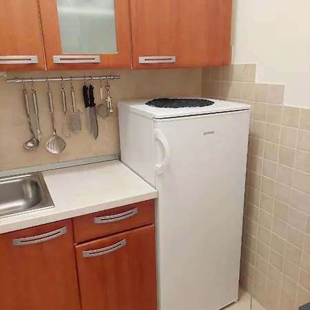 Apartment Mogorovic *