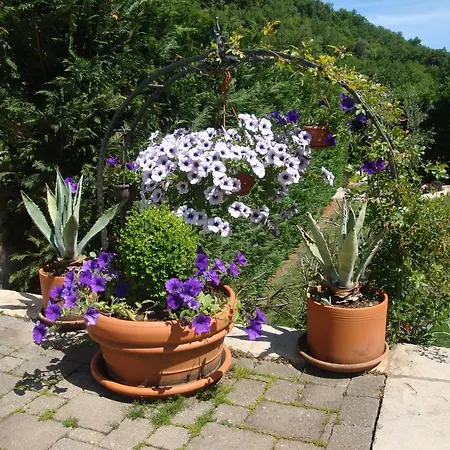 Mogorovic Apartment *