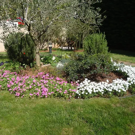 Mogorovic Apartment *